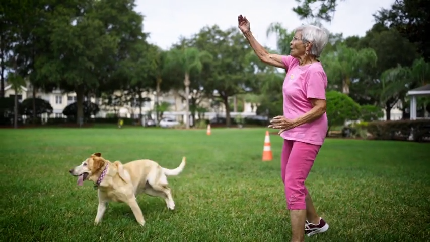 AGSC Vibrant Spaces Thumbnail